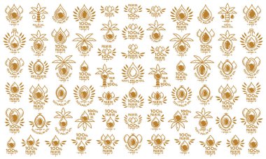 Ürün ambalajı için bir dizi kavramsal pul sembolü. Doğal olarak% 100 palmiye yağı. Yağlı damlalar, palmiye yaprakları ve sıvı malzeme çizgisi olan meyve ikonları. Vektör