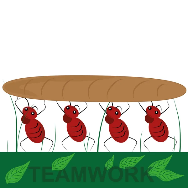 Vier mieren als een team — Stockvector