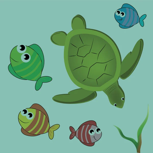 Beautiful animals from the sea — Stock Vector