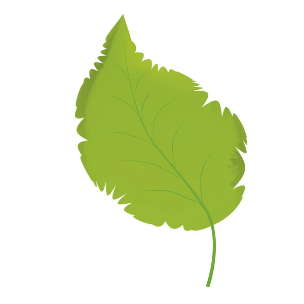 Simple leaf — Stock Vector