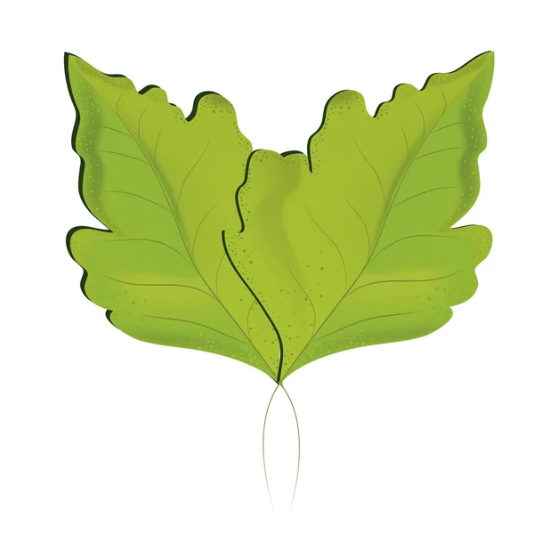 Paire de feuilles — Image vectorielle