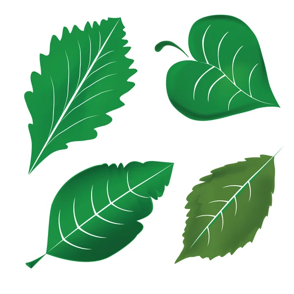 Cuatro iconos de hojas — Archivo Imágenes Vectoriales