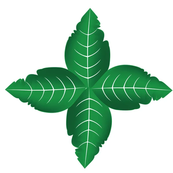 Quattro foglie — Vettoriale Stock
