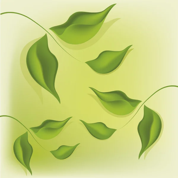 Grupo de hojas — Archivo Imágenes Vectoriales