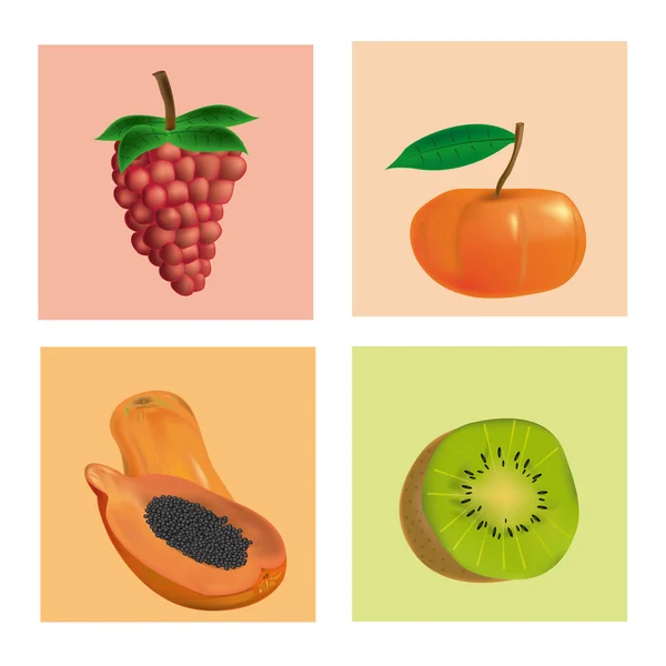 Frutas — Vector de stock