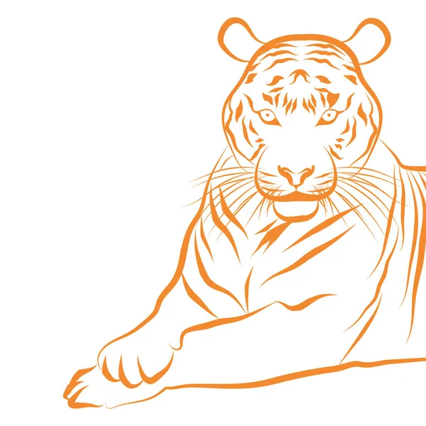 Contorni dorati isolati di una tigre seduta Vettore — Vettoriale Stock
