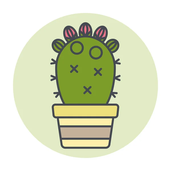 Vereinzelter grüner Kaktus auf einem farbigen Kreisrahmen Vector — Stockvektor