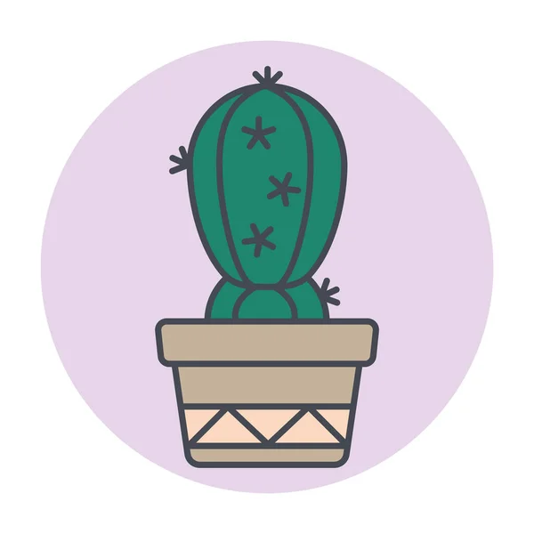 Cactus verde aislado en un marco de círculo de color Vector — Vector de stock