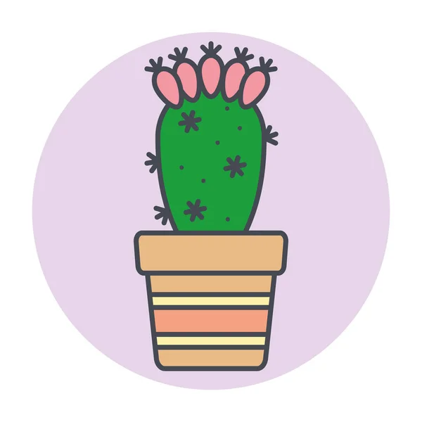 Vereinzelter grüner Kaktus auf einem farbigen Kreisrahmen Vector — Stockvektor