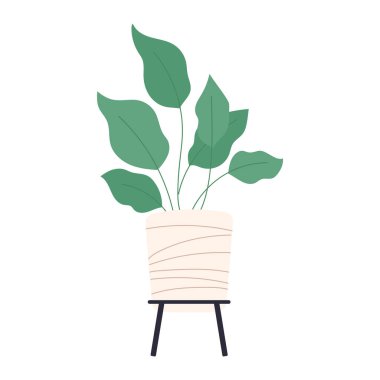 İzole edilmiş ev bitkisi İç dekorasyon Vektörü