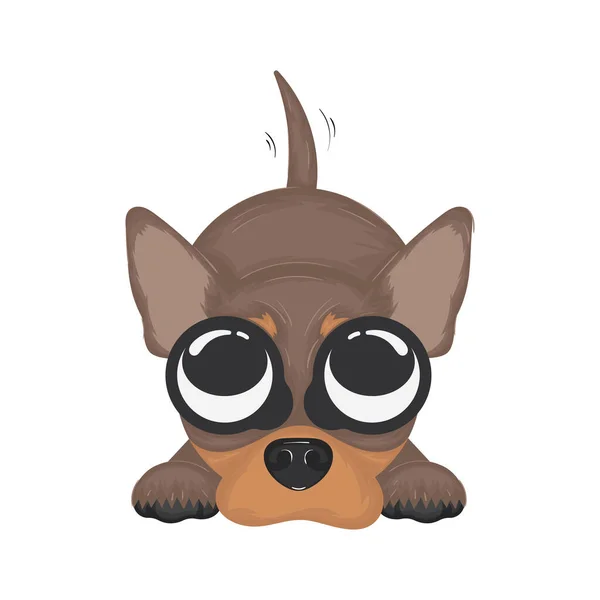 Isolierte Niedliche Chihuahua Hund Zeichentrickfigur Vector Illustration — Stockvektor