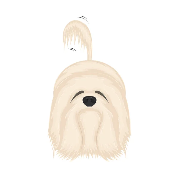 Isolated Cute White Fluffy Dog Cartoon Character Vector Illustration — Stock Vector