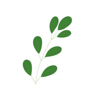 İzole edilmiş yeşil doğa yaprağı simgesi düz tasarım Vektör illüstrasyonu