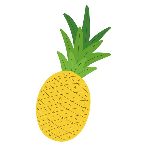 菠萝图标平面设计矢量图解的分离草图 — 图库矢量图片