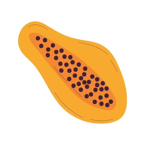 Geïsoleerde Schets Van Een Papaya Icoon Platte Vormgeving Vector Illustratie — Stockvector
