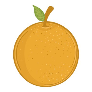 Isolated orange icon Fruits Healthy food Vector illustration