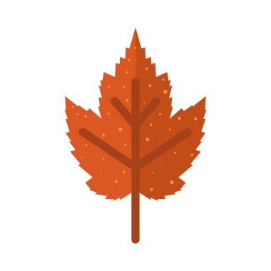 İzole edilmiş sonbahar yaprağı simgesi Vektör illüstrasyonuName
