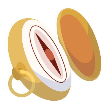 İzole edilmiş renkli pusula simgesi Düz Tasarım Vektörü illüstrasyonu