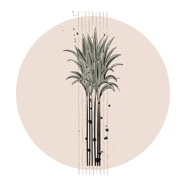 Geïsoleerde Gekleurde Plant Schets Icoon Vector Illustratie — Stockvector
