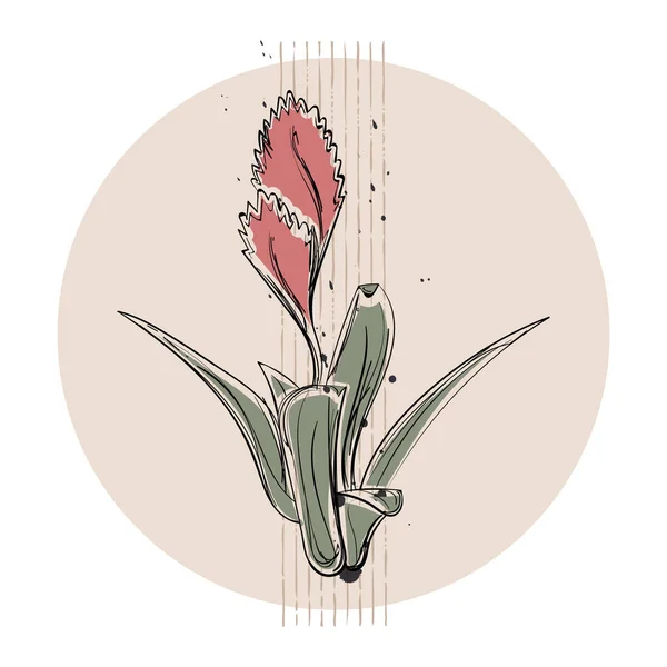 独立した色の植物スケッチのアイコンベクトルイラスト — ストックベクタ
