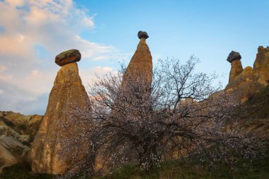 Kapadokya, Türkiye 'nin en ünlü turistik bölgelerinden biridir. Kapadokya 'nın Kaya Sahaları UNESCO Dünya Mirası merkezleri. 