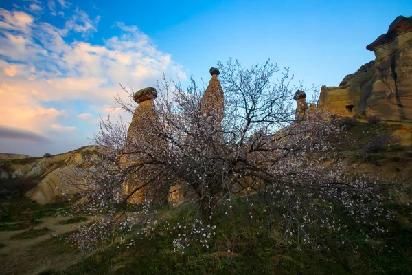 Kapadokya, Türkiye 'nin en ünlü turistik bölgelerinden biridir. Kapadokya 'nın Kaya Sahaları UNESCO Dünya Mirası merkezleri. 
