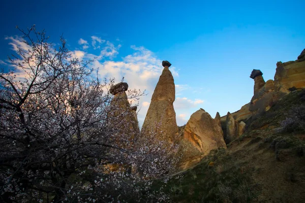 Kapadokya, Türkiye 'nin en ünlü turistik bölgelerinden biridir. Kapadokya 'nın Kaya Sahaları UNESCO Dünya Mirası merkezleri. 