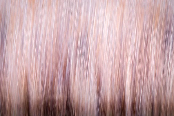 Motion Blur Nature Background Abstract Nature — Stock Photo, Image