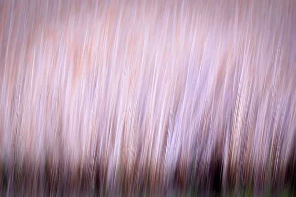 Motion Blur Nature Background Abstract Nature — Stock Photo, Image