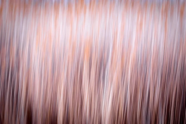 Motion Blur Nature Background Abstract Nature — Stock Photo, Image