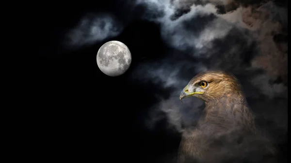 Luna Piena Uccelli Paesaggio Lunare Nella Notte Buia Cielo Nero — Foto Stock