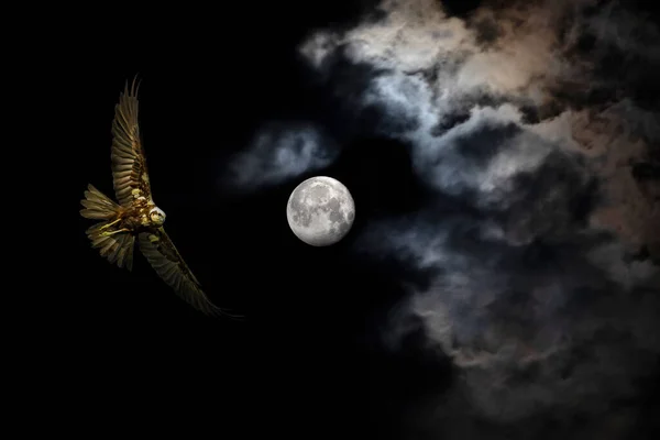 Pleine Lune Oiseaux Paysage Lunaire Dans Nuit Noire Fond Ciel — Photo