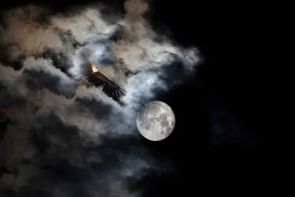 Pleine Lune Vautour Paysage Lunaire Dans Nuit Noire Fond Ciel — Photo