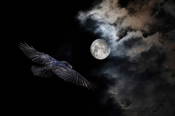 Pleine Lune Corbeau Paysage Lunaire Dans Nuit Noire Fond Ciel — Photo