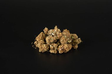 Bir sürü küçük tomurcuk sarmaya hazır.