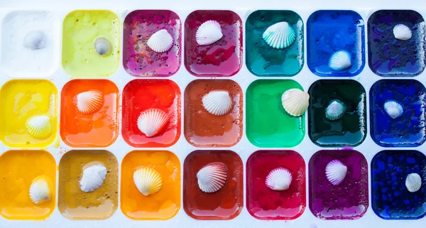 Deniz kabukları ile suluboya paleti