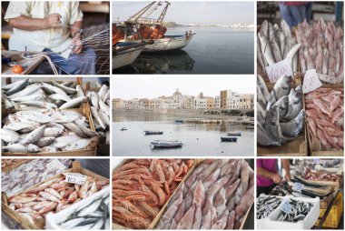 Fishing industry. Collage clipart