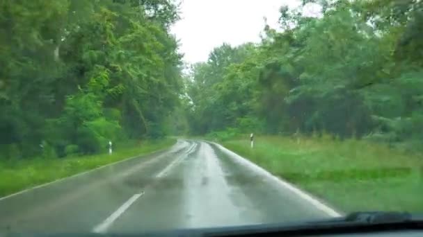Дощова Їзда Прямій Дорозі Похмура Дощова Погода — стокове відео