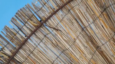Straw beach umbrella from down side. Made of straw, wood and iron rings.