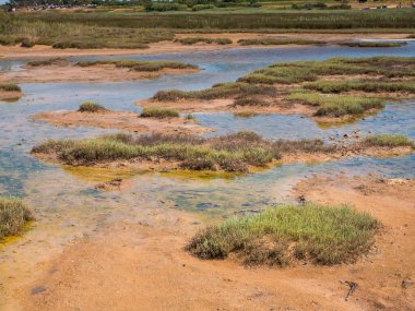 Hırvatistan 'ın Zadar Bölgesi, Avrupa' nın Nin kasabasındaki Peloid tıbbi çamuru. Kraliçe Sahili 'nin bir parçası.