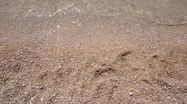 Güneşli bir günde Adriyatik Denizi 'nin saf sularına yakın bir manzara. Hırvatistan 'da Tatil