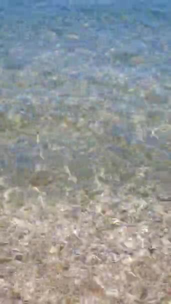 Κάθετη Θέα Του Καθαρού Νερού Της Αδριατικής Θάλασσας Ηλιόλουστη Μέρα — Αρχείο Βίντεο