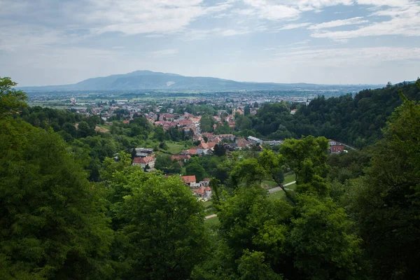 Panorama Della Città Samobor Croazia Paesaggio Verde Della Campagna — Foto Stock