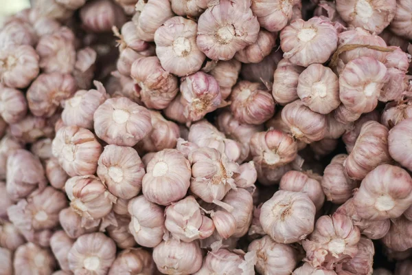 Close up of garlic background. — Stock Photo, Image