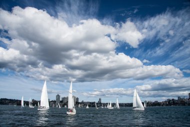 sydney Limanı Yelkenli Yatlar