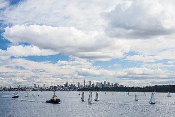 Sydney Limanı Yelkenli Yatlar — Stok fotoğraf