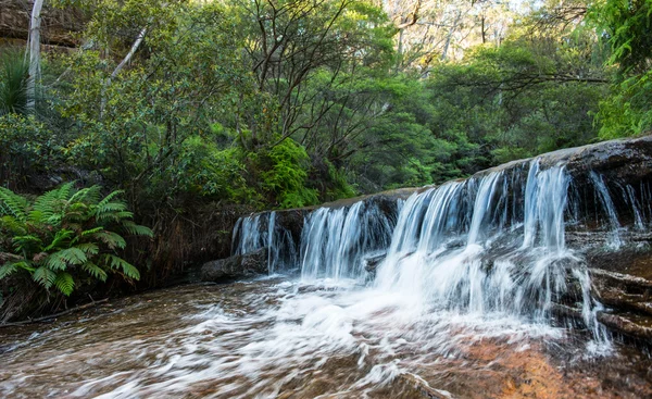 Wasserfall in nsw australia — Stockfoto