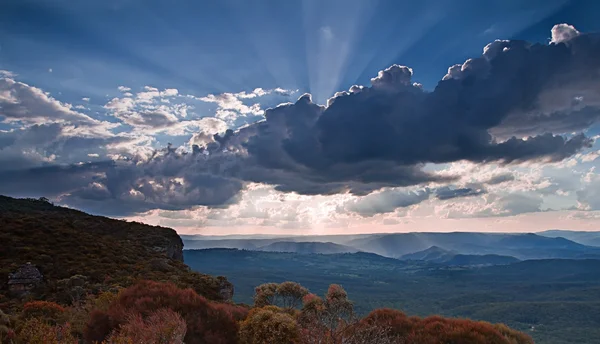 Blue Dağları Milli Parkı, sydney