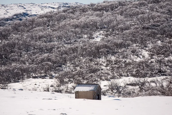 Perisher blue mountain śniegu w nsw australia — Zdjęcie stockowe