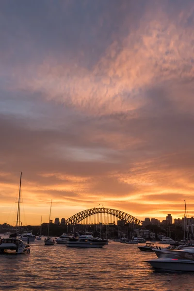 Ferry in Sydney harbour — Stock Photo, Image